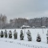 Z życia naszego przedszkola » Rok szkolny 2016-2017 » Uroki zimowe w naszym ogrodzie